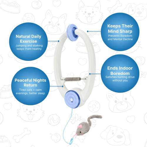 MotionMouse™ Instinct Toy